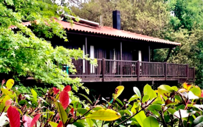 Viva uma Aventura nas Alturas: Durma na Casa da Árvore para umas Férias Inesquecíveis no Gerês!