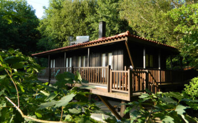 Casa na Árvore Gerês: Dormir nas Alturas e apoiar a Sustentabilidade