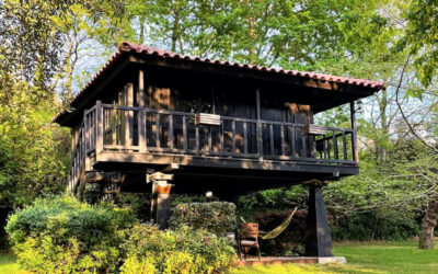 Casa na Árvore no Gerês: durma bem nas alturas!