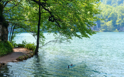 Sabe qual o melhor refúgio do norte? 5 razões para optar por férias no Gerês